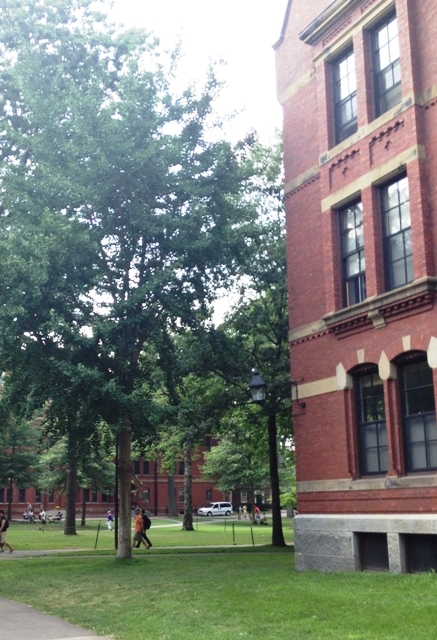 Village Camps International Summer Camp Boston, USA 2015-08-01 https://www.villagecamps.com/journals_admin/images/875-10-photo 3 (2).jpg